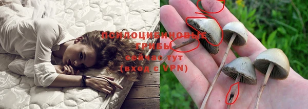 кокаин премиум Заводоуковск