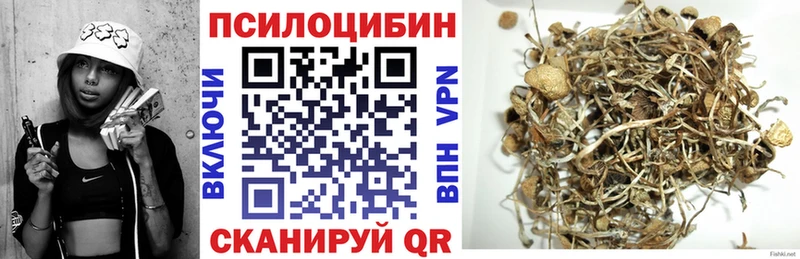 Купить  Михайловск  Псилоцибиновые грибы Magic Shrooms 